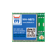 NB-IoT？