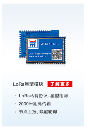 lora星型？