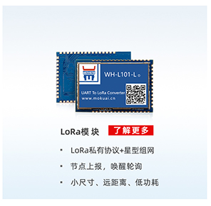 lora？