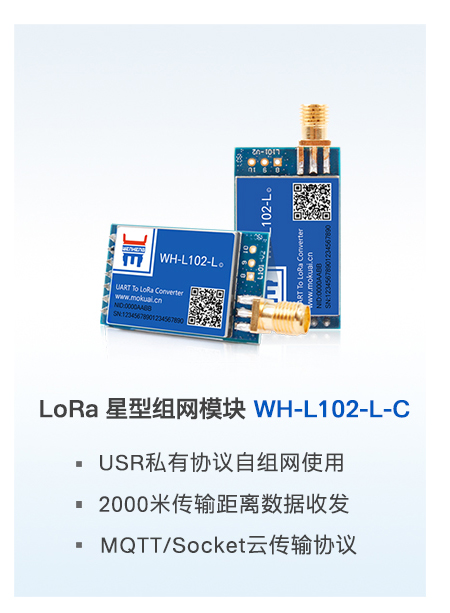 lora？