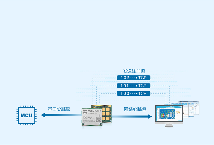 Cat-1？榈淖⒉岚